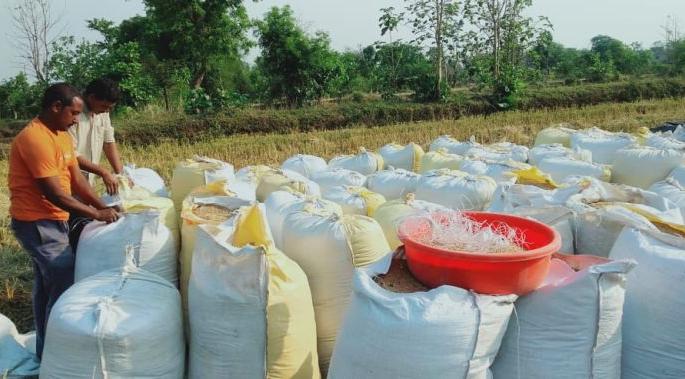 Thousands of quintals of summer paddy await in Bhandara district | भंडारा जिल्ह्यात हजारो क्विंटल उन्हाळी धान मोजणीच्या प्रतीक्षेत Thousands of quintals of summer paddy await in Bhandara district | भंडारा जिल्ह्यात हजारो क्विंटल उन्हाळी धान मोजणीच्या प्रतीक्षेत