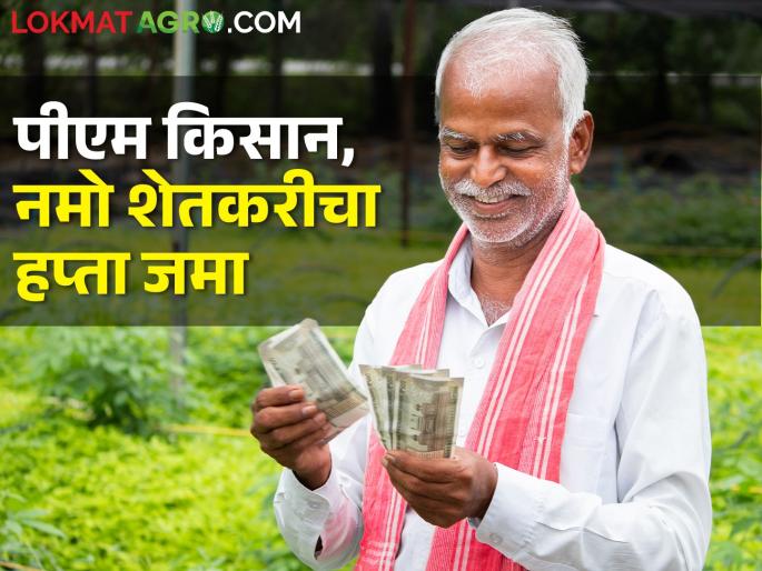 Good news for farmers! 16 installments of PM Kisan deposited in farmers' accounts, how to check whether the money has arrived or not? | शेतकऱ्यांसाठी खुशखबर! पीएम किसानचा १६ हप्ता शेतकऱ्यांच्या खाती जमा, पैसे आले की नाही कसे तपासाल? Good news for farmers! 16 installments of PM Kisan deposited in farmers' accounts, how to check whether the money has arrived or not? | शेतकऱ्यांसाठी खुशखबर! पीएम किसानचा १६ हप्ता शेतकऱ्यांच्या खाती जमा, पैसे आले की नाही कसे तपासाल?