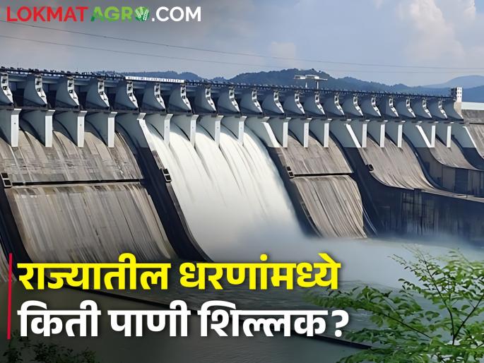 Dam Water storage: Know how much water is left in the dams in the state today | Dam Water storage: राज्यातील धरणसमुहांमध्ये आज एवढा पाणीसाठा शिल्लक, जाणून घ्या Dam Water storage: Know how much water is left in the dams in the state today | Dam Water storage: राज्यातील धरणसमुहांमध्ये आज एवढा पाणीसाठा शिल्लक, जाणून घ्या