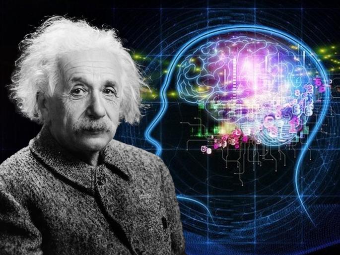 Man became rich by selling virtual Einstein brain know what he says | 'आइन्स्टाइनचा मेंदू' विकून श्रीमंत बनला तरूण, जाणून घ्या काय आहे त्याची आयडिया Man became rich by selling virtual Einstein brain know what he says | 'आइन्स्टाइनचा मेंदू' विकून श्रीमंत बनला तरूण, जाणून घ्या काय आहे त्याची आयडिया