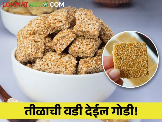 Know the properties of one 100 gram loaf of sesame seeds. | तिळाच्या एका १०० ग्रॅमच्या वडीत आहेत एवढे गुणधर्म, जाणून घ्या.. Know the properties of one 100 gram loaf of sesame seeds. | तिळाच्या एका १०० ग्रॅमच्या वडीत आहेत एवढे गुणधर्म, जाणून घ्या..