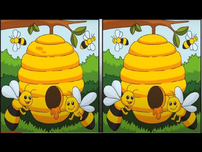 Optical illusion : Can you spot five difference in this image test your eyesight | Optical Illusion : एकसारख्या दिसणाऱ्या या फोटोत आहेत 5 फरक, 10 सेकंदात शोधा! Optical illusion : Can you spot five difference in this image test your eyesight | Optical Illusion : एकसारख्या दिसणाऱ्या या फोटोत आहेत 5 फरक, 10 सेकंदात शोधा!