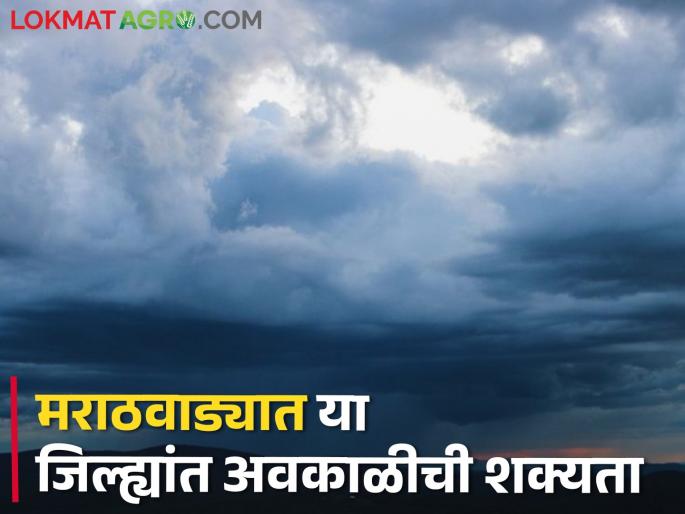 In these districts of Marathwada, there is a chance of rain with thunder, hailstorm at isolated places... | मराठवाड्यातील या जिल्ह्यांत मेघगर्जनेसह पावसाची शक्यता, तूरळक ठिकाणी गारपीटही... In these districts of Marathwada, there is a chance of rain with thunder, hailstorm at isolated places... | मराठवाड्यातील या जिल्ह्यांत मेघगर्जनेसह पावसाची शक्यता, तूरळक ठिकाणी गारपीटही...