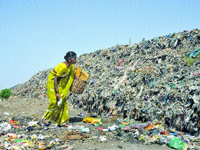 Women's Day Special: To fill the stomach, the old Anantamma is being harvested in the sunlight | Women's Day Special : पोट भरण्यासाठी वृद्ध अनंताम्माला रणरणत्या उन्हात वेचावा लागतोय कचरा Women's Day Special: To fill the stomach, the old Anantamma is being harvested in the sunlight | Women's Day Special : पोट भरण्यासाठी वृद्ध अनंताम्माला रणरणत्या उन्हात वेचावा लागतोय कचरा