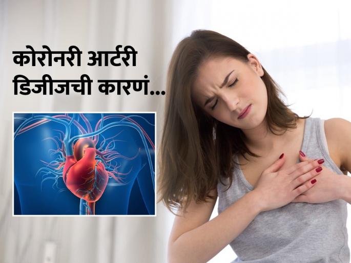 Coronary artery disease increases the risk of heart attack | हृदयाच्या रक्तवाहिन्यात का होतात ब्लॉक, वाढतो हार्ट ॲटॅकचा धोका, तज्ज्ञांनी सांगितली कारणं...