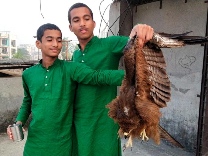 The eagle trapped in the cat got life | मांजात अडकलेल्या गरुडाला मिळाले जीवनदान The eagle trapped in the cat got life | मांजात अडकलेल्या गरुडाला मिळाले जीवनदान