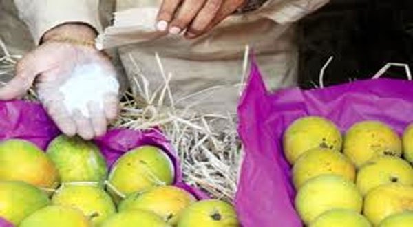 Calcium Carbide causes of Many Diseases with Cancer | कॅल्शियम कार्बाइडने कर्करोगासह अनेक आजारांचा धोका Calcium Carbide causes of Many Diseases with Cancer | कॅल्शियम कार्बाइडने कर्करोगासह अनेक आजारांचा धोका