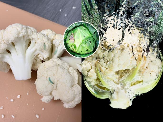how to remove worms and insects from cauliflower at Home best kitchen hacks to clean gobi quickly easy tips to clean cauliflower before cooking | फ्लॉवरच्या भाजीत किडे- अळ्या? चटकन काढण्यासाठी 3 सोप्या टिप्स-वेळही वाचेल खूप