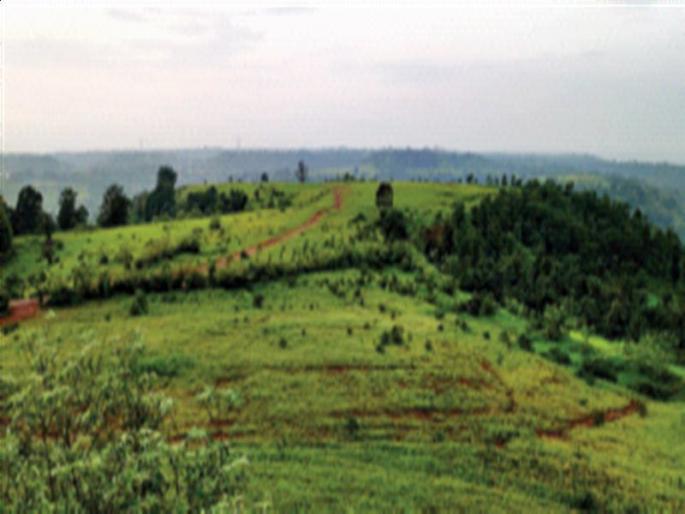 Man-made forest on Mini Mahabaleshwar hills | मिनी महाबळेश्वर टेकड्यांवर होणार मानवनिर्मित जंगल