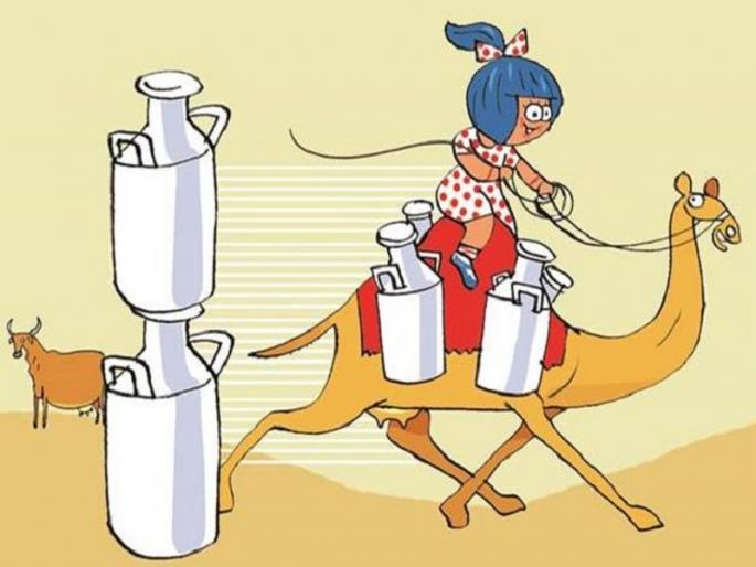 Good news for diabetic patient...! Amul introduces camel milk ... | मधुमेहींसाठी खुशखबर...! अमूलने आणले सांडनीचे दूध...