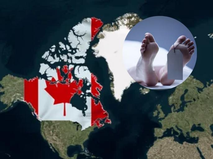 Whats behind 1203 lost Indian lives in Canada? | भारतीयांसाठी कॅनडा ठरतोय मृत्युचं घर; गेल्या ५ वर्षातील आकडे चिंताजनक!