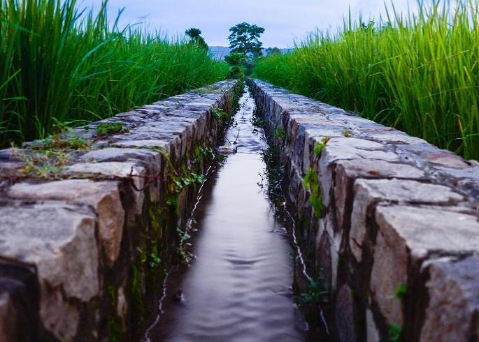 Village wise camps from Monday for repairing mango collection | आंबेओहोळ संकलन दुरुस्तीसाठी सोमवारपासून गावनिहाय शिबीरे Village wise camps from Monday for repairing mango collection | आंबेओहोळ संकलन दुरुस्तीसाठी सोमवारपासून गावनिहाय शिबीरे