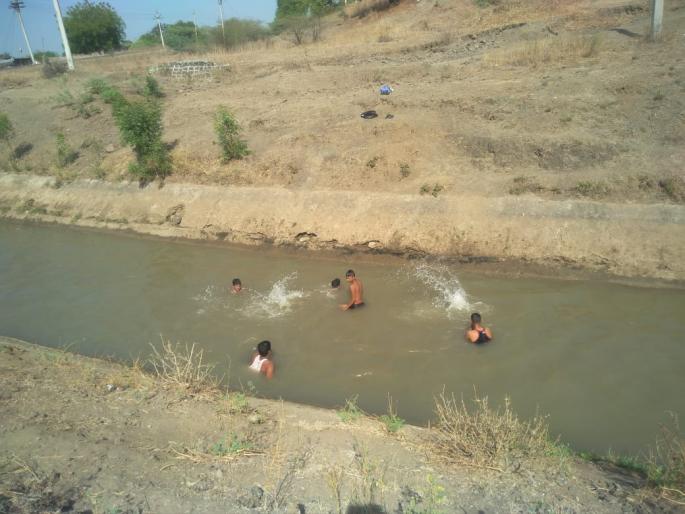 Youth enjoye swiming in canals at 45 degree temperature | ४५ अंश तापमानात युवकांची कालव्यात जलक्रिडा Youth enjoye swiming in canals at 45 degree temperature | ४५ अंश तापमानात युवकांची कालव्यात जलक्रिडा