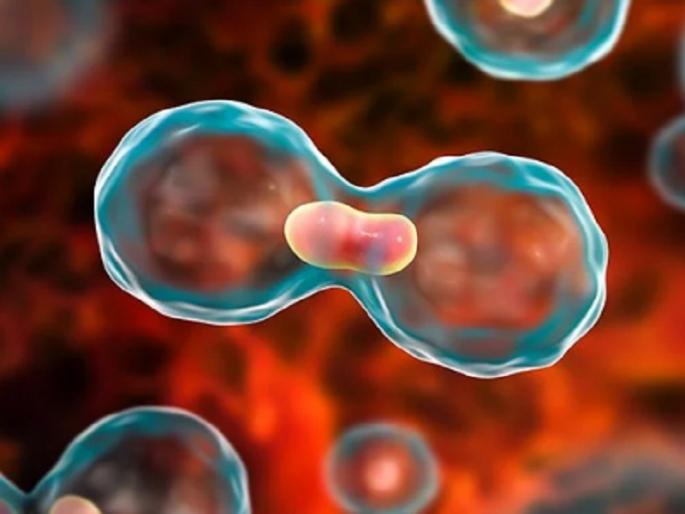 World No Tobacco Day: Tobacco addicted at age 11, cancer reaches 23 years | World No Tobacco Day: वयाच्या ११ व्या वर्षी तंबाखू सेवन, २३ व्या वर्षी गाठले कर्करोगाने