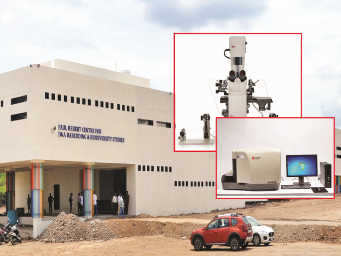 Important for Marathwada; Cancer diagnosis to be made in BAMU university's DNA barcoding laboratory | मराठवाड्यासाठी महत्वाचे; विद्यापीठातील डीएनए बारकोडिंग प्रयोगशाळेत होणार कर्करोगाचे निदान Important for Marathwada; Cancer diagnosis to be made in BAMU university's DNA barcoding laboratory | मराठवाड्यासाठी महत्वाचे; विद्यापीठातील डीएनए बारकोडिंग प्रयोगशाळेत होणार कर्करोगाचे निदान