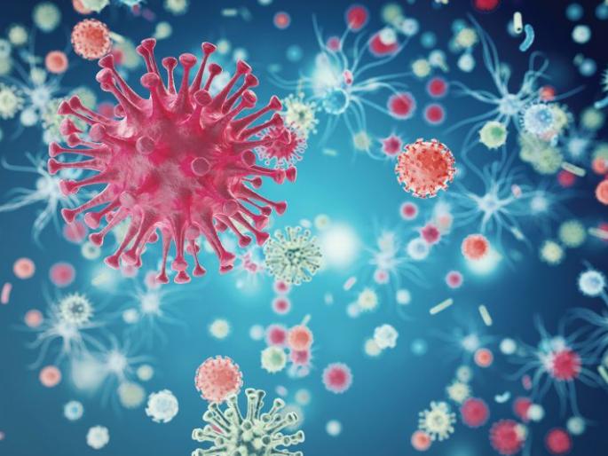 What exactly do the causes of cancer? | कर्करोगाची कारणे नेमकी काय ? What exactly do the causes of cancer? | कर्करोगाची कारणे नेमकी काय ?