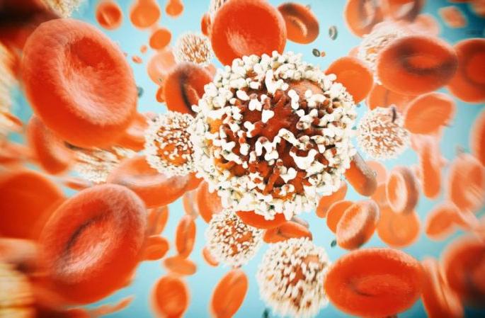 11 lakh 57 thousand cancer patients registered | ११ लाख ५७ हजार कॅन्सर रुग्णांची नोंद 11 lakh 57 thousand cancer patients registered | ११ लाख ५७ हजार कॅन्सर रुग्णांची नोंद