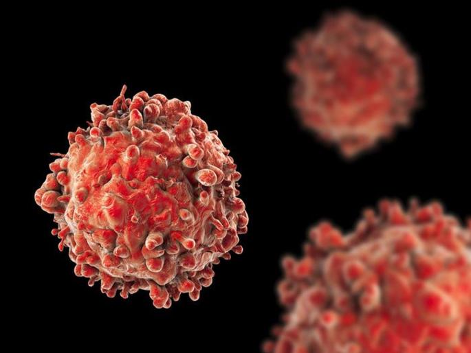 New research finds a pathway to make cancer cells to self destruct | खूशखबर! आता स्वत:च नष्ट होतील जीवघेण्या कॅन्सरच्या पेशी, वैज्ञानिकांनी शोधला मार्ग New research finds a pathway to make cancer cells to self destruct | खूशखबर! आता स्वत:च नष्ट होतील जीवघेण्या कॅन्सरच्या पेशी, वैज्ञानिकांनी शोधला मार्ग