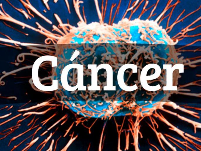 Israeli scientists claim cancer cure medicine cure for cancer within a year | एका वर्षात कॅन्सर नष्ट करणाऱ्या औषधाचा शोध, संशोधकांनी केला दावा! Israeli scientists claim cancer cure medicine cure for cancer within a year | एका वर्षात कॅन्सर नष्ट करणाऱ्या औषधाचा शोध, संशोधकांनी केला दावा!