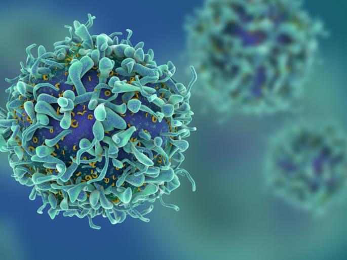 cancer killing virus vaxina injected in human trial done | संशोधकांचा नवा शोध! कॅन्सरला संपवणारा व्हायरस आला, लसीद्वारे शरीरात सोडण्यात यश cancer killing virus vaxina injected in human trial done | संशोधकांचा नवा शोध! कॅन्सरला संपवणारा व्हायरस आला, लसीद्वारे शरीरात सोडण्यात यश