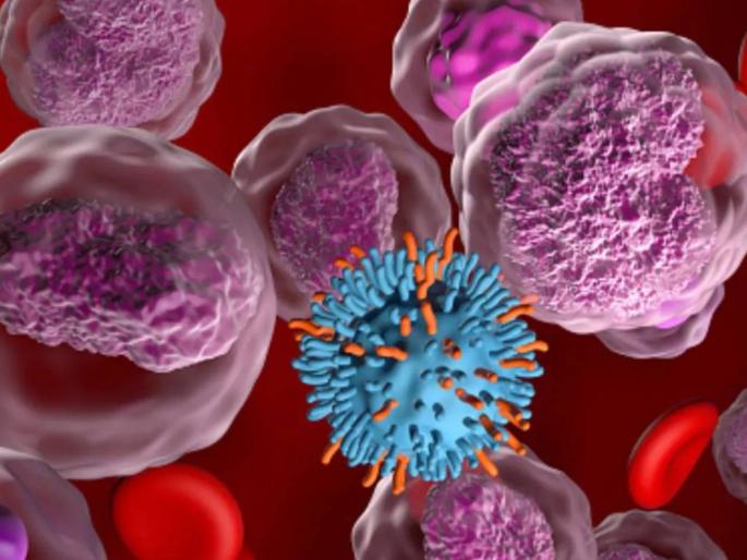 Shocking... Cancer is increasing in Melghat due to addiction; Anemia in young to old people: Research team to draw conclusions | धक्कादायक... मेळघाटात व्यसनामुळे वाढतोय कॅन्सर; युवा ते प्रौढ व्यक्तींमध्ये रक्ताल्पता : संशोधन चमू काढणार निष्कर्ष