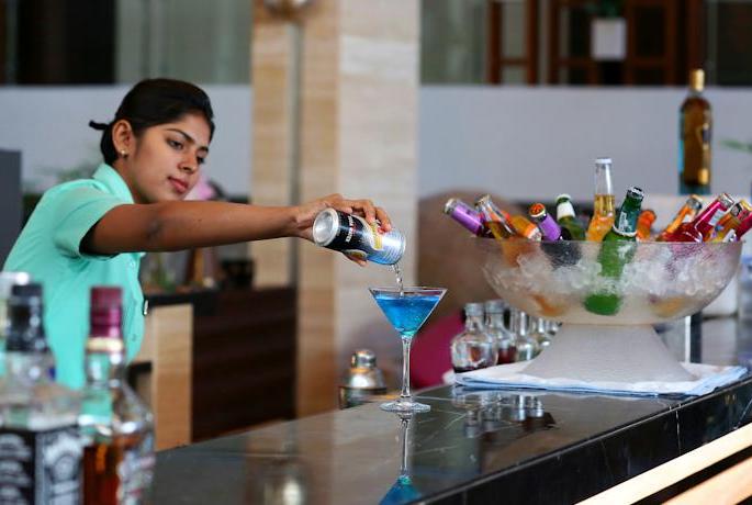 Renewal of licenses for 700 idols in Goa | गोव्यात ७00 मद्यालयांच्या परवान्यांचे नूतनीकरण