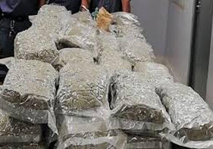2.36 lakh cannabis seized in Murtijapur | मूर्तिजापूरमध्ये २.३६ लाखांचा गांजा जप्त