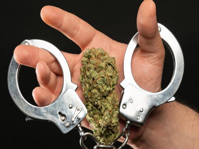 24 kg cannabis seized in Wakad three arrested by police pune crime news | Pune Crime| वाकडमध्ये २४ किलो गांजा जप्त; तिघांना अटक 24 kg cannabis seized in Wakad three arrested by police pune crime news | Pune Crime| वाकडमध्ये २४ किलो गांजा जप्त; तिघांना अटक