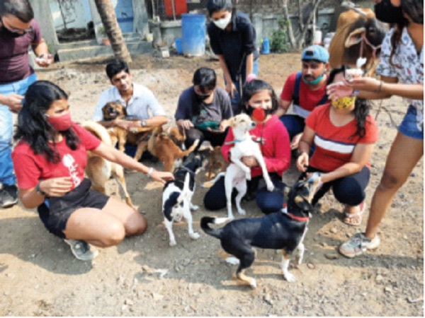 Celebrate Valentine's Day with animals left on the street, an initiative of the Cap organization | रस्त्यावर सोडलेल्या प्राण्यांसोबत व्हॅलेंटाइन डे साजरा, कॅप संस्थेचा पुढाकार  Celebrate Valentine's Day with animals left on the street, an initiative of the Cap organization | रस्त्यावर सोडलेल्या प्राण्यांसोबत व्हॅलेंटाइन डे साजरा, कॅप संस्थेचा पुढाकार