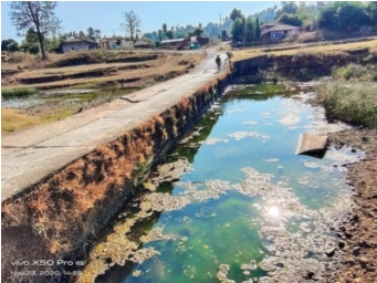 Poor condition of the bridge over the river at Chalani | चळणी येथील नदीवरील पुलाची दुरवस्था Poor condition of the bridge over the river at Chalani | चळणी येथील नदीवरील पुलाची दुरवस्था