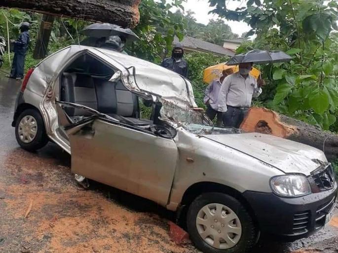 Senavali: A four-wheeler driver was killed by a tree at Verna | सेणावली - वेर्णा येथे वृक्षाने घेतला चारचाकी चालकाचा बळी Senavali: A four-wheeler driver was killed by a tree at Verna | सेणावली - वेर्णा येथे वृक्षाने घेतला चारचाकी चालकाचा बळी