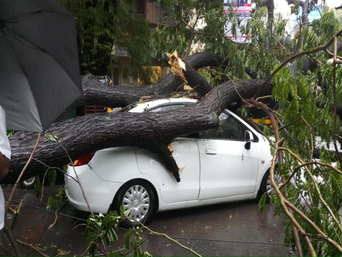 Due to rains, there is a collapsed big tree in vile parle | पावसामुळे पार्ल्यात कोसळले मोठे झाड Due to rains, there is a collapsed big tree in vile parle | पावसामुळे पार्ल्यात कोसळले मोठे झाड