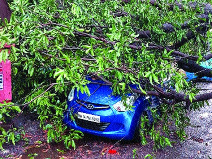Storm surges in Raigad, power outage | रायगडमध्ये वादळी वाऱ्याचे थैमान, वीजपुरवठा खंडित Storm surges in Raigad, power outage | रायगडमध्ये वादळी वाऱ्याचे थैमान, वीजपुरवठा खंडित