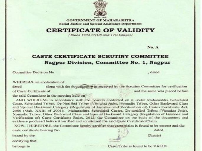 ‘Cast Validity’ is mandatory for vocational courses | व्यावसायिक अभ्यासक्रमासाठी ‘कास्ट व्हॅलिडिटी’ बंधनकारक