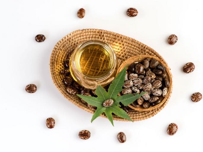 Hair Care- Castor oil has great properties. There are many benefits to having good hair. How to apply this oil? | Hair Care: एरंडेल तेल औषध म्हणून पोटासाठीच नाही तर केसांसाठीही खूप फायद्याचे! ते केसांना कसं लावाल?