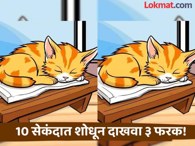 Optical Illusion : Can You Find 3 differences between the sleeping cat pictures in 10 seconds! | चॅलेंज! एकसारख्या दिसणाऱ्या फोटोत शोधा ३ फरक, शोधाल तर ठराल जीनिअस! Optical Illusion : Can You Find 3 differences between the sleeping cat pictures in 10 seconds! | चॅलेंज! एकसारख्या दिसणाऱ्या फोटोत शोधा ३ फरक, शोधाल तर ठराल जीनिअस!