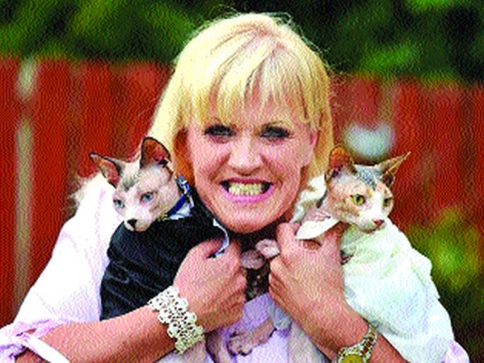  Cat wedding for girl's treatment | मुलीवरील उपचारांसाठी मांजरांचा विवाह