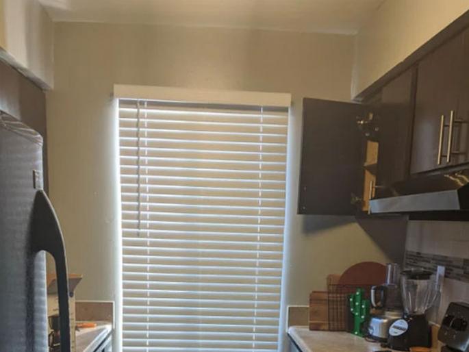 Can you find cat in this photo which is goes viral on social media | 'या' फोटोत लपली आहे एक मांजर, लोक शोधून शोधून थकले, बघा तुम्हीही ट्राय करा! Can you find cat in this photo which is goes viral on social media | 'या' फोटोत लपली आहे एक मांजर, लोक शोधून शोधून थकले, बघा तुम्हीही ट्राय करा!