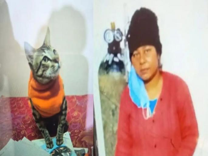 Woman hangs herself in Uttar Pradesh after being devastated by cat's death | मांजरीच्या मृत्यूचा विरह सहन झाला नाही; ४८ तासांतच महिलेनं स्वत:चं आयुष्य संपवलं Woman hangs herself in Uttar Pradesh after being devastated by cat's death | मांजरीच्या मृत्यूचा विरह सहन झाला नाही; ४८ तासांतच महिलेनं स्वत:चं आयुष्य संपवलं