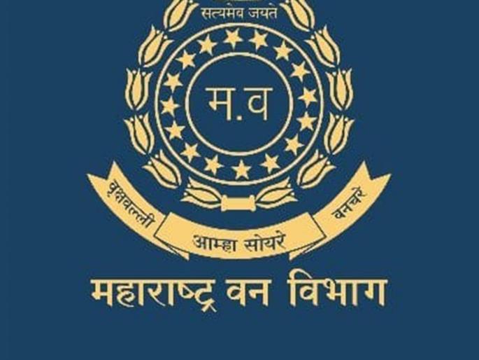 The Principal Chief Conservator of Forests will be produced in the Ministry today in connection with the transfer of RFO | ‘RFO’च्या बदल्याप्रकरणी प्रधान मुख्य वनसंरक्षकांची आज मंत्रालयात पेशी