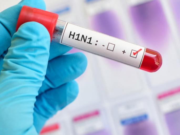 One more death due to swine flu in Thane district, death toll rises to 15 | ठाणे जिल्ह्यात स्वाईन फ्लुमुळे आणखी एकाचा मृत्यु, मृतांची संख्या १५ वर One more death due to swine flu in Thane district, death toll rises to 15 | ठाणे जिल्ह्यात स्वाईन फ्लुमुळे आणखी एकाचा मृत्यु, मृतांची संख्या १५ वर