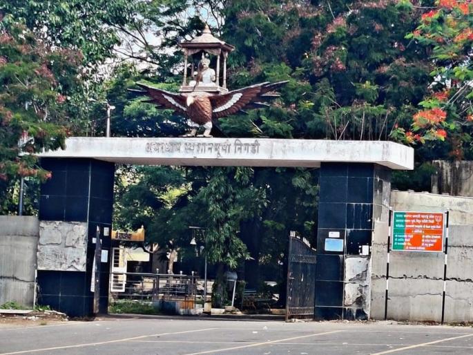 Dogs in the cemetery are breaking up the corpses, the investigation of the viral video continues nigadi | स्मशानभूमीत कुत्रे तोडताहेत मृतदेहांचे लचके, व्हायरल व्हिडीओची चौकशी सुरू Dogs in the cemetery are breaking up the corpses, the investigation of the viral video continues nigadi | स्मशानभूमीत कुत्रे तोडताहेत मृतदेहांचे लचके, व्हायरल व्हिडीओची चौकशी सुरू