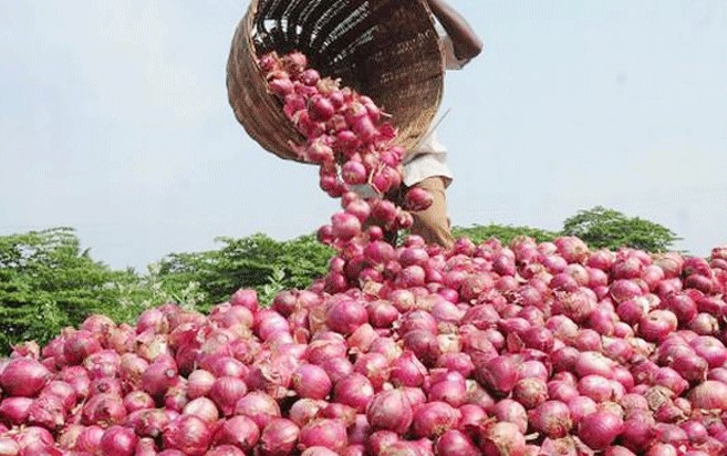 Onion: Onion prices plummeted, leaving summer growers angry in solapur | Onion: कांद्याचा भाव चांगलाच गडगडला, उन्हाळी लागवड करणारा बळीराजा संतापला Onion: Onion prices plummeted, leaving summer growers angry in solapur | Onion: कांद्याचा भाव चांगलाच गडगडला, उन्हाळी लागवड करणारा बळीराजा संतापला