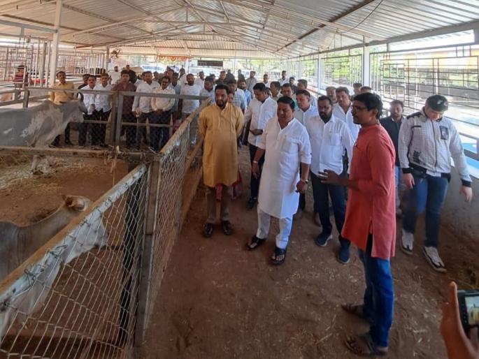 Financial fund for Goshalas on the occasion of Chief Minister's birthday | मुख्यमंत्र्यांच्या वाढदिवसानिमित्त गोशाळांना आर्थिक निधी Financial fund for Goshalas on the occasion of Chief Minister's birthday | मुख्यमंत्र्यांच्या वाढदिवसानिमित्त गोशाळांना आर्थिक निधी