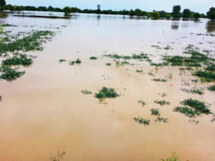 The father and son of the MLA's family were swept away by the rains across the state pdc | राज्यभरात पावसाचे थैमान, आमदाराच्या कुटुंबातील पिता-पुत्र गेले वाहून The father and son of the MLA's family were swept away by the rains across the state pdc | राज्यभरात पावसाचे थैमान, आमदाराच्या कुटुंबातील पिता-पुत्र गेले वाहून