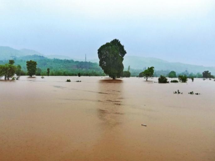 Jaer 'Dhar', awesome! Seven people died in various accidents due to heavy rains | जाेर‘धार’, जबरदस्त! अतिवृष्टीच्या विविध दुर्घटनांमध्ये सात जण दगावले Jaer 'Dhar', awesome! Seven people died in various accidents due to heavy rains | जाेर‘धार’, जबरदस्त! अतिवृष्टीच्या विविध दुर्घटनांमध्ये सात जण दगावले