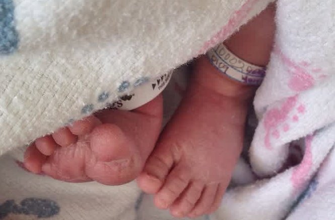 The baby was born in the seventh month itself, the doctor gave life support | सातव्या महिन्यातच झाला बाळाचा जन्म, डॉक्टरांनी दिले जीवदान The baby was born in the seventh month itself, the doctor gave life support | सातव्या महिन्यातच झाला बाळाचा जन्म, डॉक्टरांनी दिले जीवदान