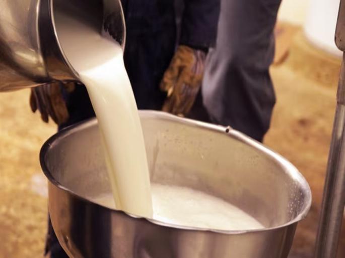 50 liters of milk prepared in one liter of mixed chemical; Revealed in police investigation | एक लिटर मिश्रित केमिकलमध्ये ५० लिटर दूध तयार; पोलिस तपासात उघड 50 liters of milk prepared in one liter of mixed chemical; Revealed in police investigation | एक लिटर मिश्रित केमिकलमध्ये ५० लिटर दूध तयार; पोलिस तपासात उघड