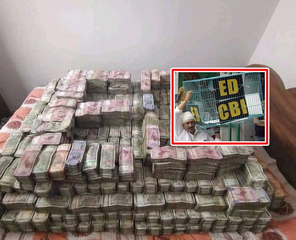 ED recorded 5422 crimes in 17 years, only 23 proved | ईडीकडून १७ वर्षांत ५४२२ गुन्ह्यांची नोंद, अवघे २३ सिद्ध ED recorded 5422 crimes in 17 years, only 23 proved | ईडीकडून १७ वर्षांत ५४२२ गुन्ह्यांची नोंद, अवघे २३ सिद्ध