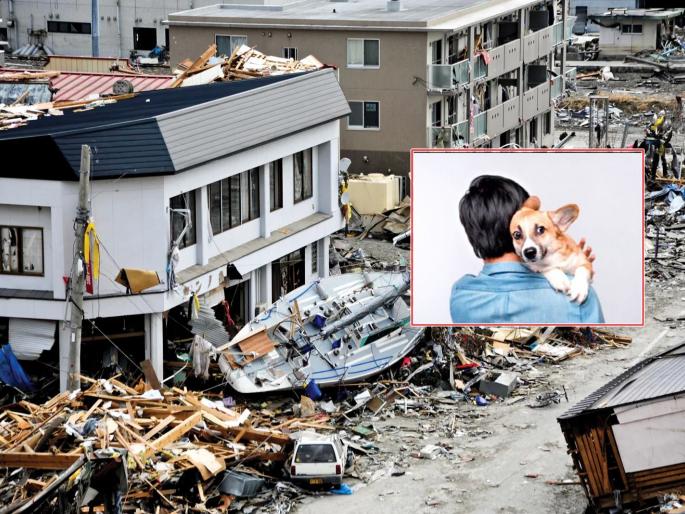 Why do animals and birds get restless before an earthquake? | प्राणी-पक्षी भूकंपाआधी अस्वस्थ का होतात? Why do animals and birds get restless before an earthquake? | प्राणी-पक्षी भूकंपाआधी अस्वस्थ का होतात?